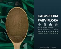 PURE NATURAL BLACK GALINGALE HERB POWDER EXTRACT ( PREMIUM GRADE ) From Thailand