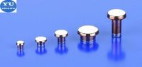 electrical rivet contacts for the relay