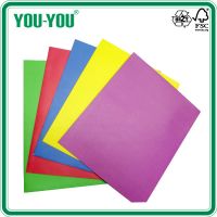 Recycled Paper Manila File Folder with Clip