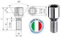 Tuner lug bolt