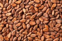 Cocoa Beans