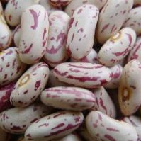 https://cn.tradekey.com/product_view/Light-Speckled-Kidney-Beans-Pinto-Beans-Sugar-Beans-9475895.html