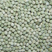 Quality Yellow Split Peas / Green Peas/ Whole Pigeon Peas From South Africa