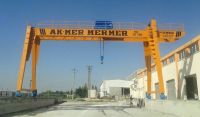 Double Consoles Gantry Cranes