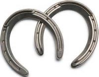 Carbide Horseshoe Studs