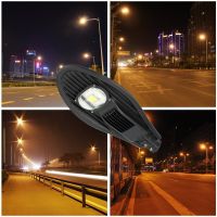 Street Light SL001-30W~250W