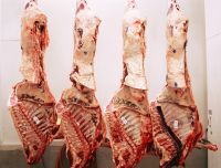 Beef Carcasses.