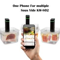 sous vide cooker From China
