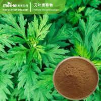 Artemisia Vulgaris Extract