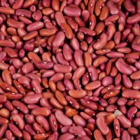 Red Long Kidney Beans