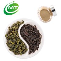 100% pure natural free samples of oolong tea extract