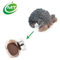 ISO kosher halal certificated Chaga Mushroom Extract