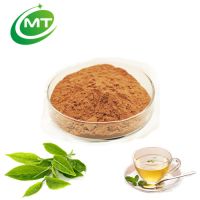 Factory manufacuturer 100% pure natural green tea extract