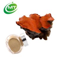 China factory 100% pure Antrodia Camphorata Extract