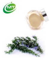 100% natural rosemary extract rosmarinic acid