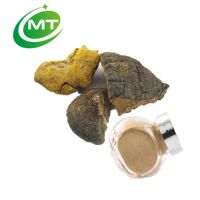  100% pure natural Polysaccharide Phellinus Linteus Extract 