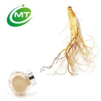 pure natural panax ginseng extract ginsenoside