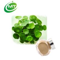 ISO manufacturer gotu kola extract 