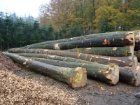 Cheap Birch,Beech,Oak,Pine and Ash Logs