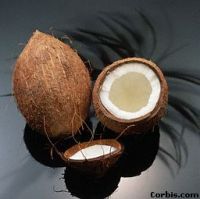 Coconuts , Banana , Coir , Peat , T- Shirts