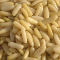 Wholesale  Fresh Pine Nuts / Dried Pine Nuts 