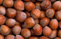 Hazelnuts