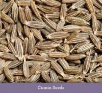 Cloves Cloves