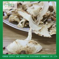 Natural Organic Tricholoma Matsutake Slice