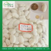 White Kidney Beans 80-85 Grains/100 G