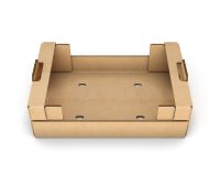 Corrugated Carton Fruit Box / Vegetable Tray