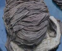 dried omasum / Beef Omasum Dried and Salted
