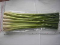 Vietnamese Frozen Lemon Grass