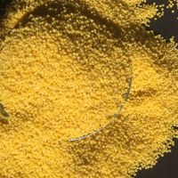Premium hulled glutinous and non-glutinous yellow millet wholesale price