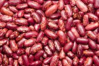 Red Kidney Beans Organic and Wholesale!