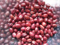 https://cn.tradekey.com/product_view/Small-Red-Bean-9364765.html