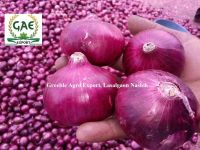 Old Export Quality Lasalgaon Nashik Onion