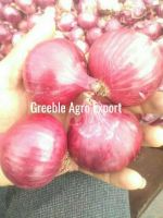 Fresh Pink Onion