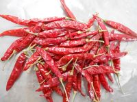 Red Dry Chilli