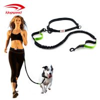 Pet Collars &Leashes Type Durable Nylon Bungee Hands Free Dog Leash