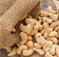 High Quality Raw Cashew Nuts