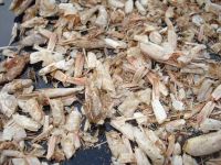 Dried shrimp shell