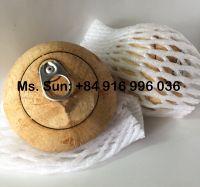 Ring Pull Coconut Easy Open Coconut From Vietnam