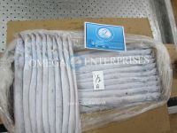 RIBBON FISH A Grade &amp