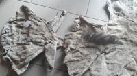 Wet Salted Donkey Skin / Dry Salted Donkey Hide / Air dried Donkey Skin