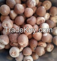 High Quality Whole & Split Betel Nut