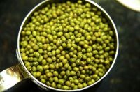 Mung Bean From Vietnam High Quality