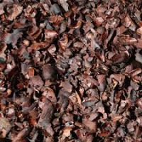 cocoa shell
