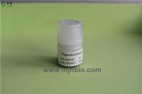 nucleic acid DNA/RNA extraction and purification magnetic beads