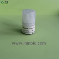 Nano Biological Magnetic Beads/magnetic Microspheres