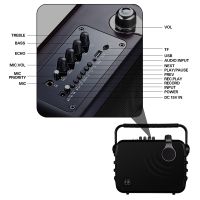 Portable Wireless Bluetooth Karaoke Speaker With